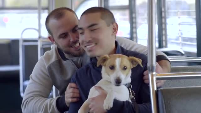 Couple Ride Street Car, Asian Man Holds His Dog, His Boyfriend Gives Him A Cute Squeeze/Hug