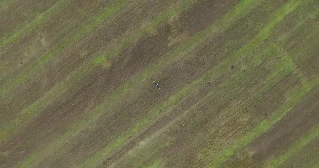 Man In The Field Raises His Hands Up