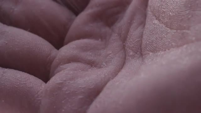 Raining on Hand (Macro Shot)