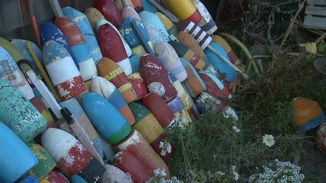 Pan across stacked striped fishing buoys in Massachusetts.