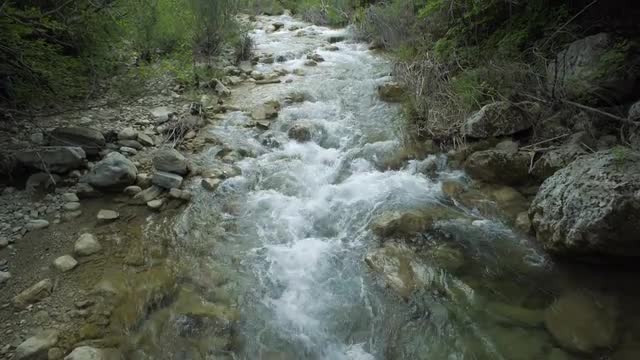 Mountain River Flowing Among Stones