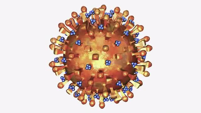 Avian flu