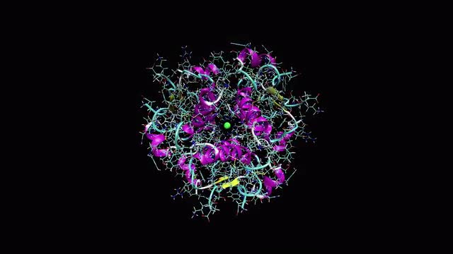 Animation of insulin molecule