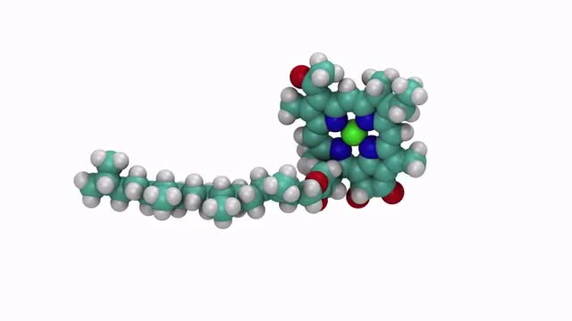 graphic animation of chlorophyll