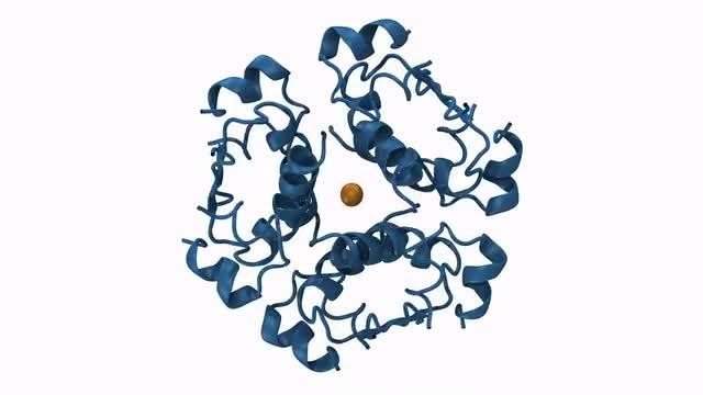 Graphic animation of insulin