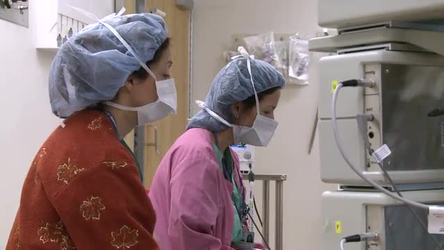 Staff monitors cardiopulmonary bypass equipment