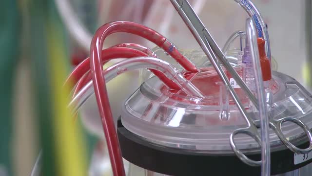 Blood flows through tubes of bypass machine