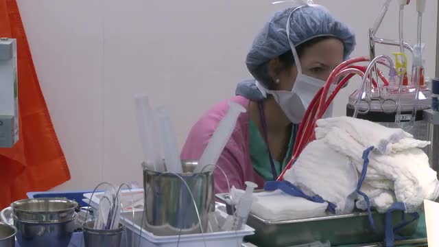 Technician monitors blood flowing through bypass machine