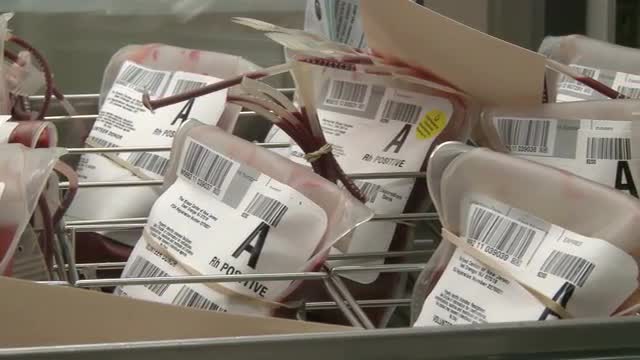 Bags of A positive stored blood