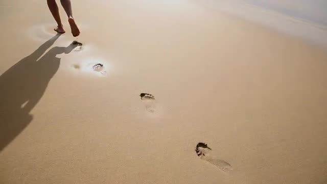 Walking along sandy beach