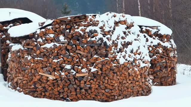 Firewood in a Stack Under Snow