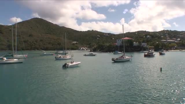 Sailboats moored off the coast of a green island.