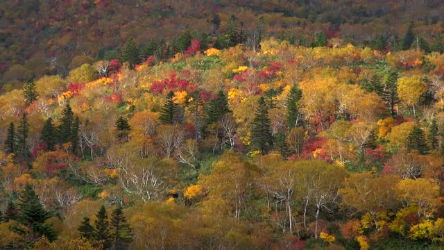 Mount Rausu, Hokkaido, Japan