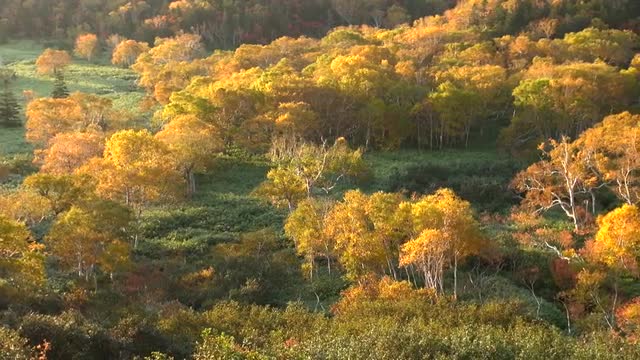 Mount Rausu, Hokkaido, Japan