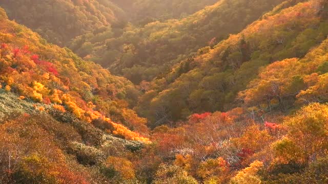 Mount Rausu, Hokkaido, Japan