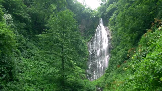 Kurokuma Waterfall, Aomori Prefecture, Japan