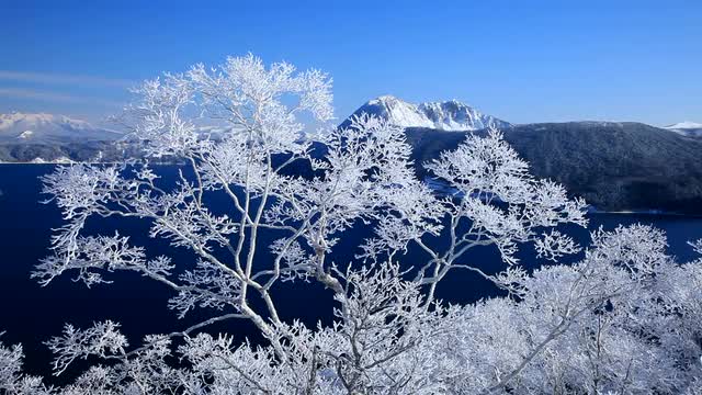 Rime at Mount Kamui, Hokkaido, Japan