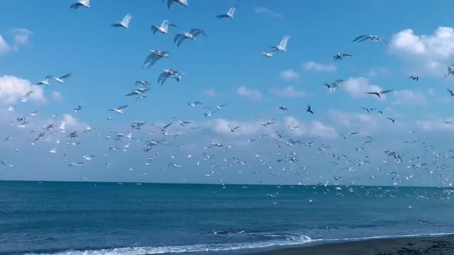 Sea Of Okhotsk, Hokkaido, Japan