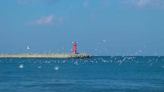 Sea Of Okhotsk, Hokkaido, Japan