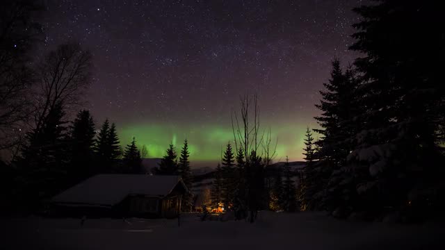 A cabin in the woods beneath the northern lights