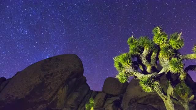 Time-Lapse in Joshua Tree National Park, CA