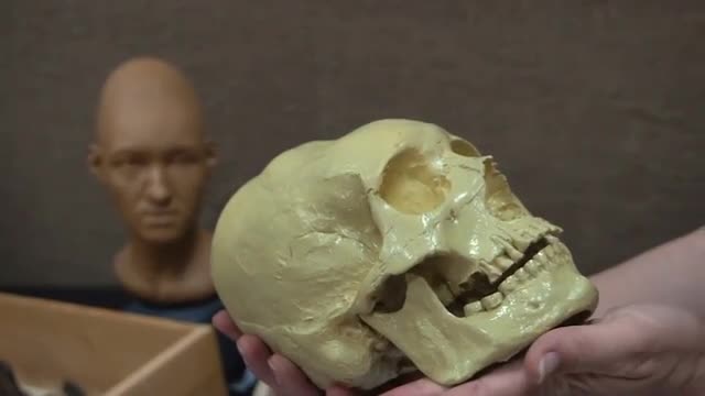 Anthropology. Skull and Reconstructed Image of a Woman-Sarmatian Nomads Age of 3000 Years in the Han