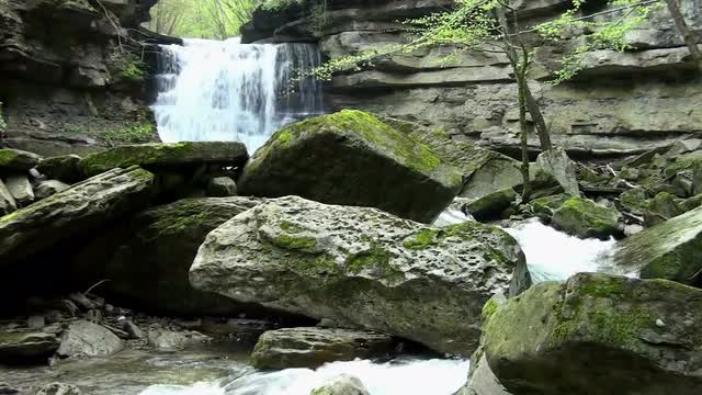 Water stream and green leaves