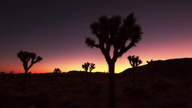 Sunrise Time-Lapse in Joshua Tree