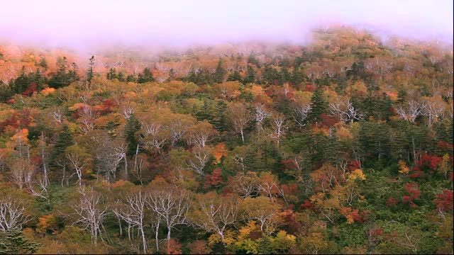 Autumn morning mist over Shiretoko pass, Hokkaido, Japan