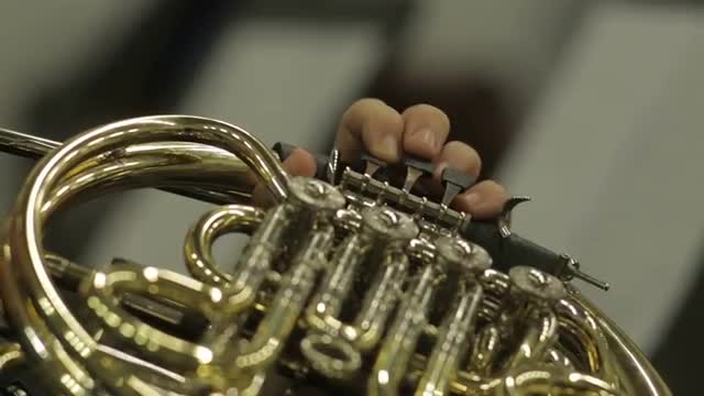Keys And Valves Of A Concert French Horn