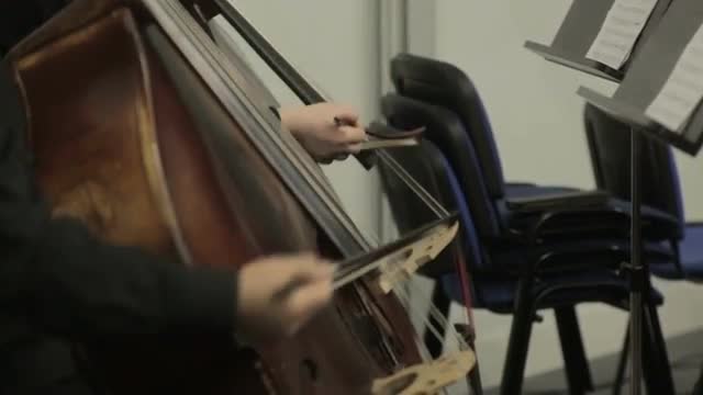 Classical Music Professional Cello Player