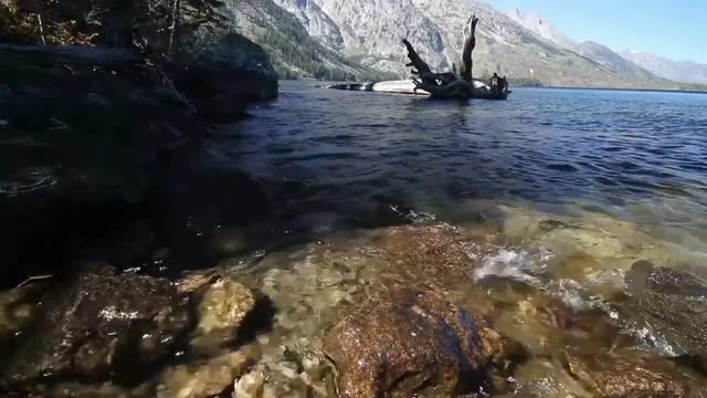Jenny Lake Ripples