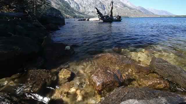 Jenny Lake Ripples