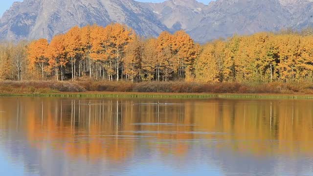Oxbow Bend in Fall