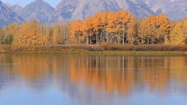 Oxbow Bend in Fall