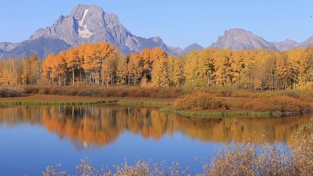 Oxbow Bend in Fall