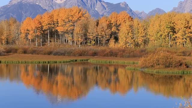 Oxbow Bend in Fall