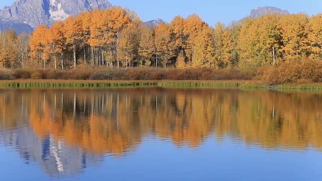 Oxbow Bend in Fall