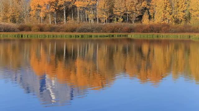 Oxbow Bend in Fall