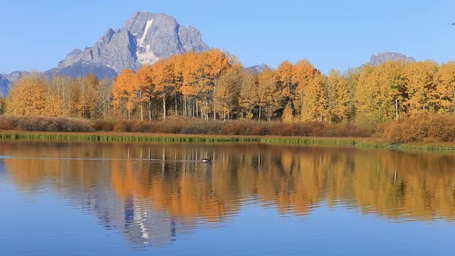 Oxbow Bend in Fall