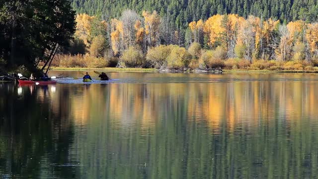 Oxbow Bend in Fall