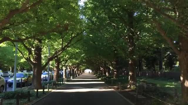 Quickly moving through a...