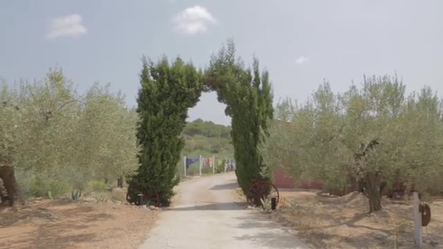 Arched bushes mark the...