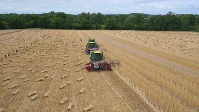 Combine Harvesters in field shot by drone