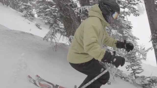 Skier rides through the trees