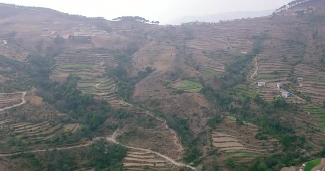 Terraced fields