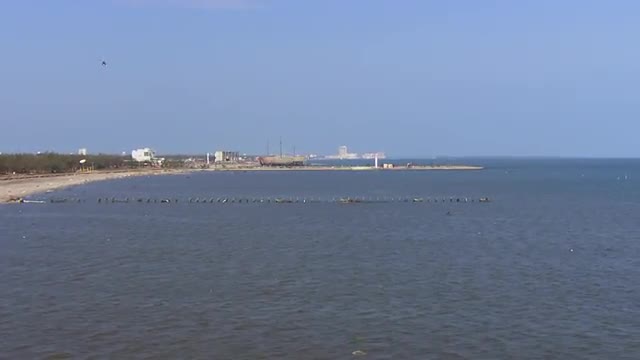 WS POV AERIAL Beaches filled with debris due to natural disaster / United States