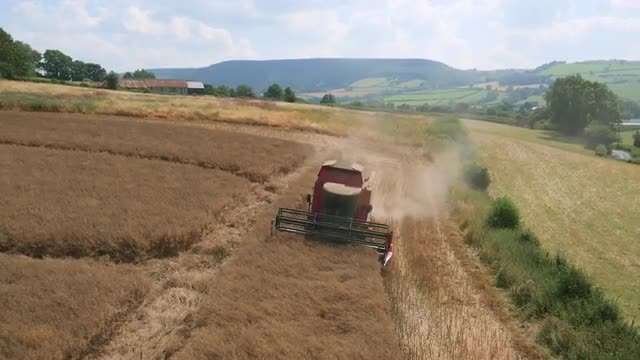 Aerial drone footage of combine harvester, UK