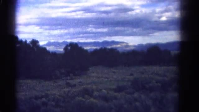 1967: driving along the cool natural forest to sightsee new rainbow COLORADO
