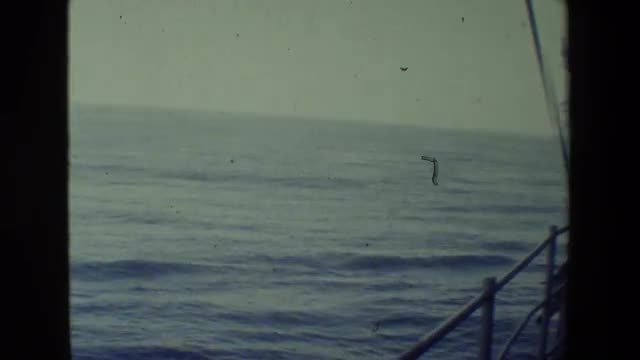 1981: distant water moving waves peace serenity view SAN DIEGO NAVAL BASE